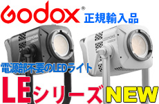 GODOX LE