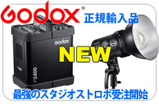 GODOX P2400