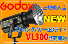 GODOX VL300