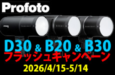 Profoto Flash Campaing