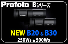 Profoto B20 B30